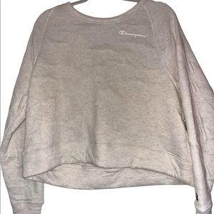 Cropped champion crew neck